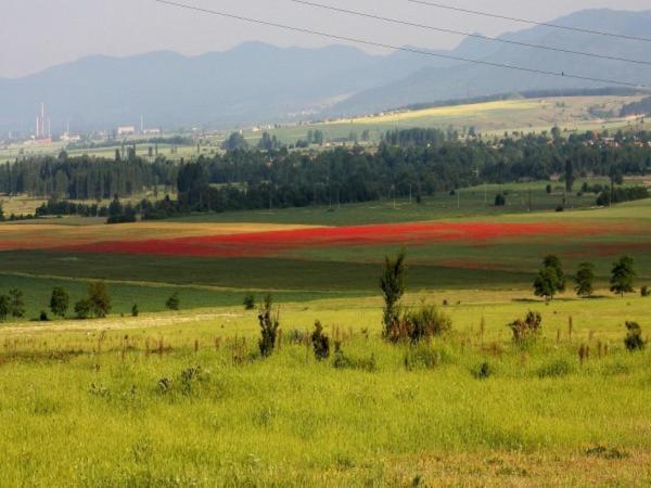 Shipka It Hotel Luaran gambar